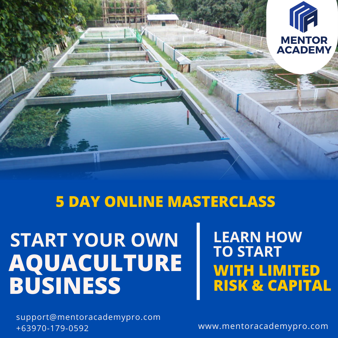 How To Start Your Own Aquaculture  Business (̶₱̶̶̶1̶̶̶3̶,̶̶̶1̶0̶̶̶0̶̶̶)̶